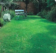 Residential Lawn care by Hemlock Lawn Maintenance